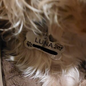 Alternative view of Adresówka dla psa – stalowa kość z grawerem (5 cm x 3,5 cm) 🐾